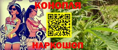 прущие грибы Пенза