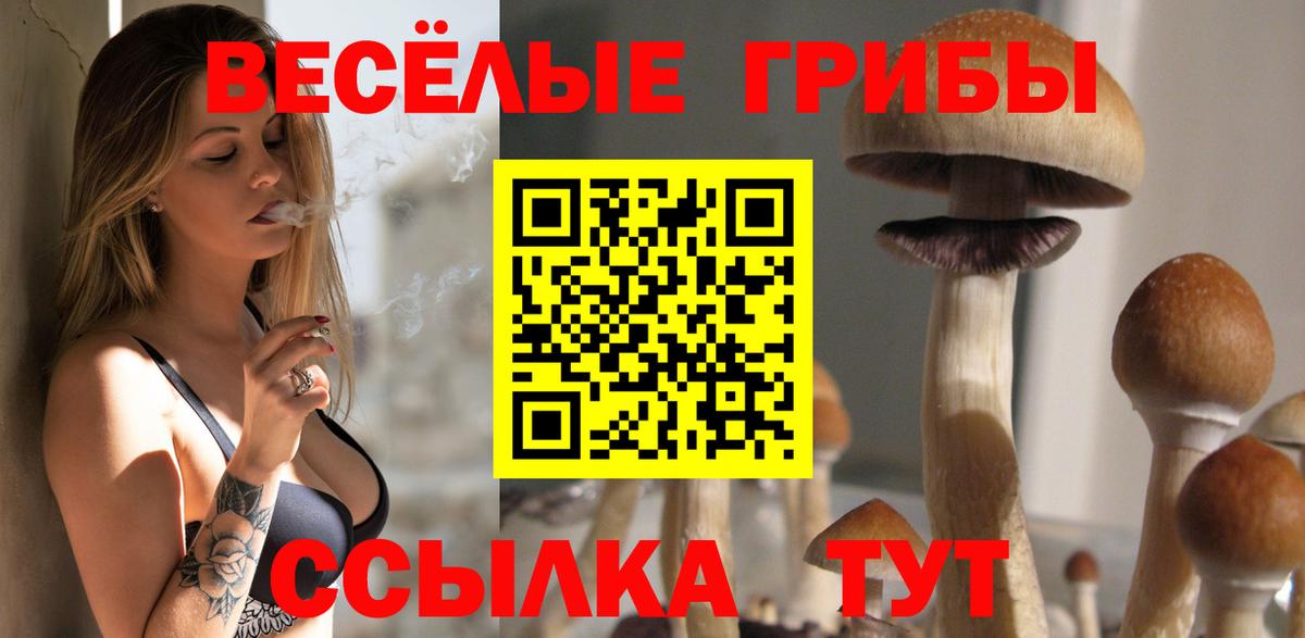 Ртищево  Псилоцибиновые грибы ЛСД  Галлюциногенные грибы Cubensis  Вход с VPN 